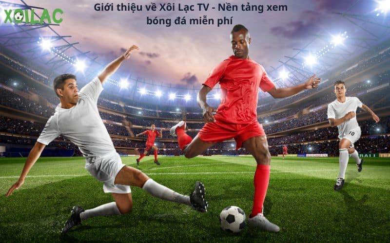 Xoilac 1 TV: Cung cấp thông tin thể thao chính xác và nhanh chóng